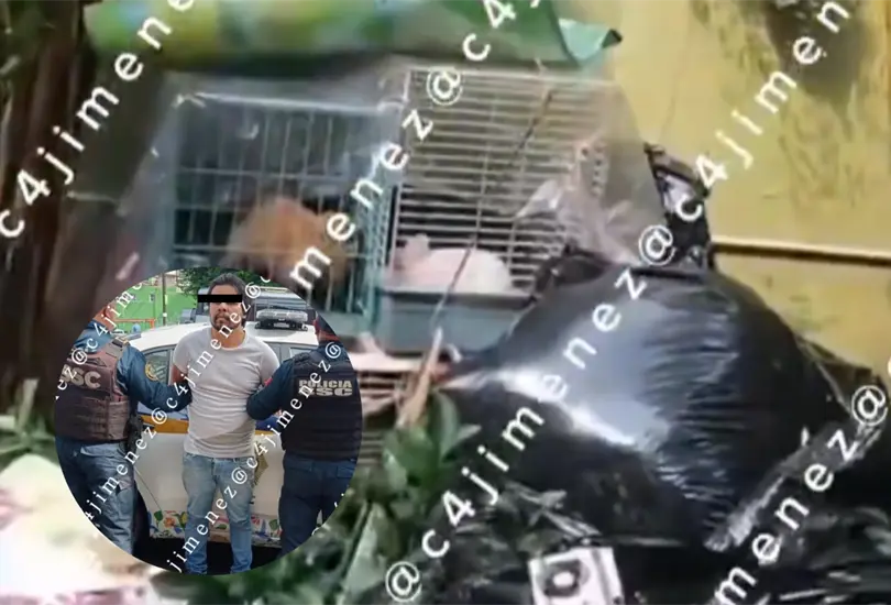 Caso Gaeli: revelan video del patio donde hallaron sus restos