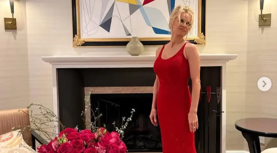 Tras denunciar a Tommy Lee por violencia doméstica en 1998, la pareja puso fin a su matrimonio y el músico fue sentenciado a prisión. Tras denunciar a Tommy Lee por violencia doméstica en 1998, la pareja puso fin a su matrimonio y el músico fue sentenciado a prisión.