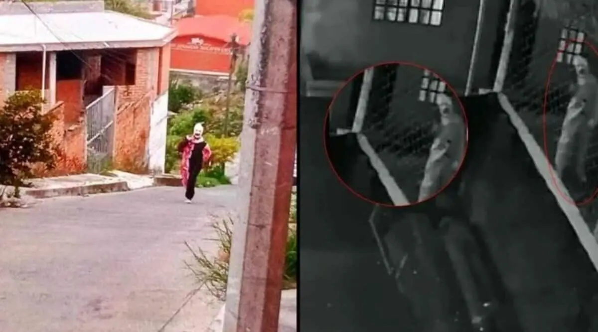 Hasta el momento, las autoridades no han reportado investigaciones que vinculen al "Terrifier" de Morelia con algún delito. 