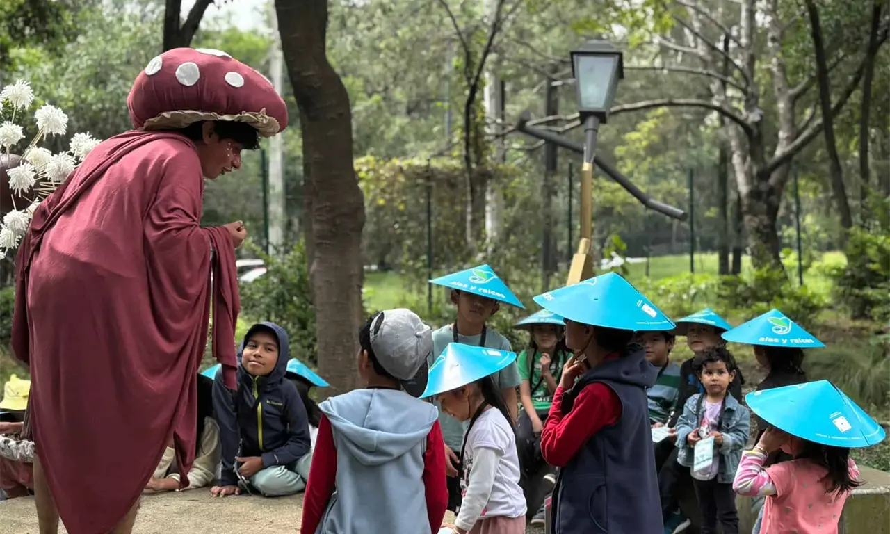  Exploradores del Bosque: el curso de verano gratuito en Chapultepec 