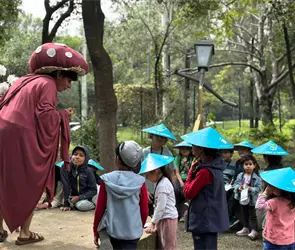 Exploradores del Bosque: Cómo inscribir a niñas y niños al curso de verano gratuito en Chapultepec Exploradores del Bosque: Cómo inscribir a niñas y niños al curso de verano gratuito en Chapultepec