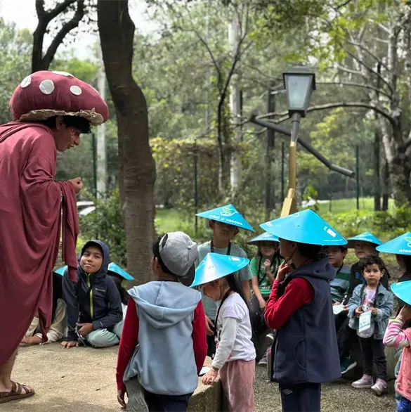 Exploradores del Bosque: Cómo inscribir a niñas y niños al curso de verano gratuito en Chapultepec Exploradores del Bosque: Cómo inscribir a niñas y niños al curso de verano gratuito en Chapultepec