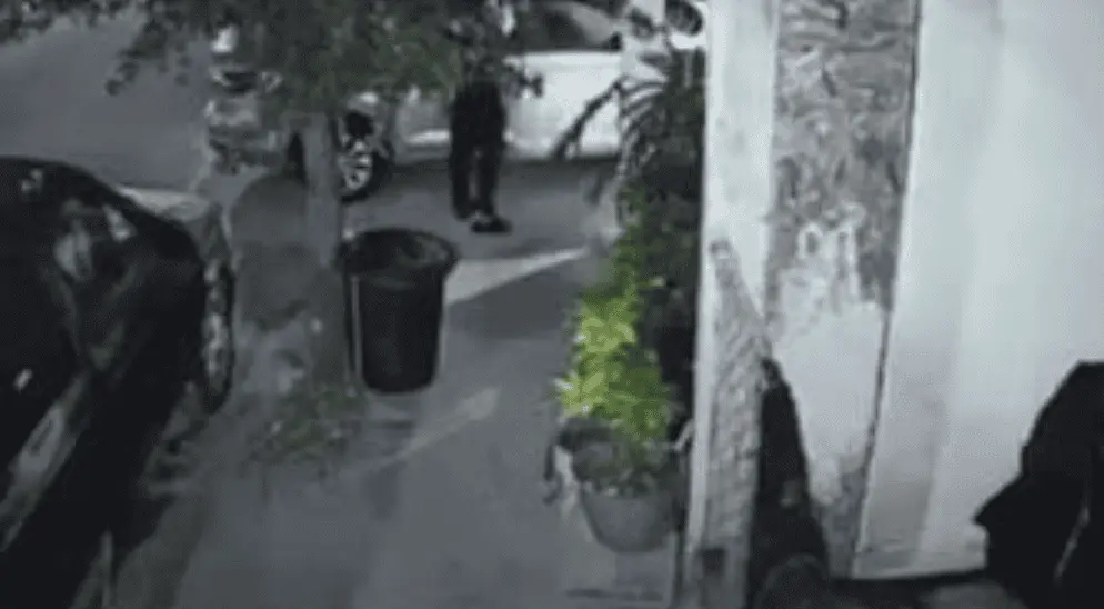 Tras el hallazgo, elementos especializados realizaron el procesamiento del inmueble mientras el sospechoso fue puesto a disposición de las autoridades. RRSS.