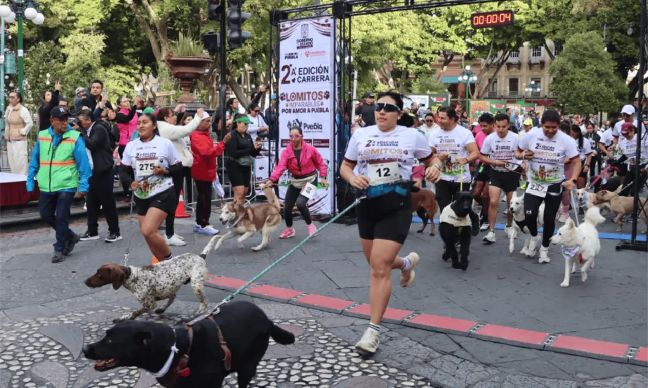  Uno de los principales atractivos de la jornada fue la instalación de diversos módulos de atención gratuita enfocados en la salud y protección de las mascotas. 