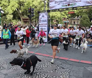 Puebla corre junto a sus lomitos en una gran fiesta por el bienestar animal