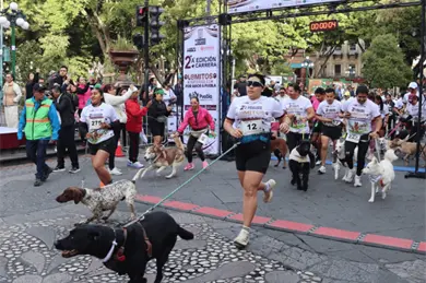Puebla corre junto a sus lomitos en una gran fiesta por el bienestar animal Puebla corre junto a sus lomitos en una gran fiesta por el bienestar animal