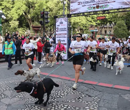 Puebla corre junto a sus lomitos en una gran fiesta por el bienestar animal