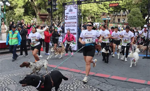 Puebla corre junto a sus lomitos en una gran fiesta por el bienestar animal