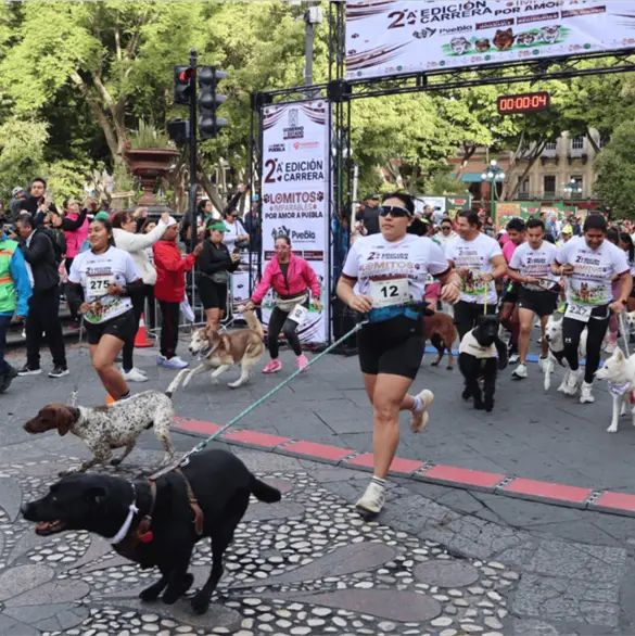 Puebla corre junto a sus lomitos en una gran fiesta por el bienestar animal