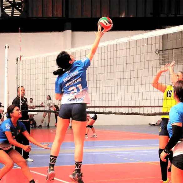 Festival M&aacute;ster de Voleibol 2026 en Puebla: fechas, sede y equipos participantes
