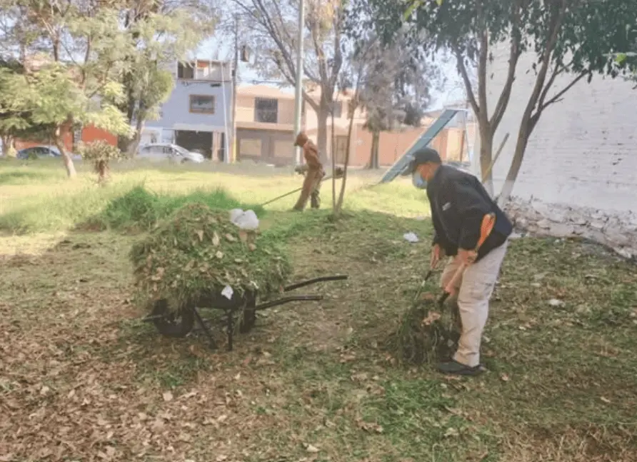Parque Rómulo O'Farril recibe mantenimiento integral con poda, limpieza y rehabilitación. Gobierno de la Ciudad.