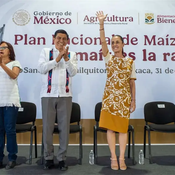 Sheinbaum respalda a Salomón Jara con millonaria inversión para proteger el maíz nativo en Oaxaca Sheinbaum respalda a Salomón Jara con millonaria inversión para proteger el maíz nativo en Oaxaca