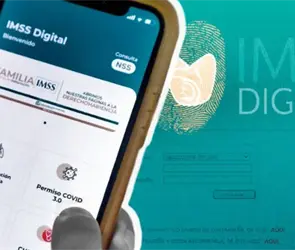 &iquest;Cu&aacute;ntas semanas cotizadas tienes en el IMSS? As&iacute; puedes consultar tu historial laboral