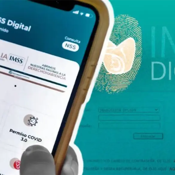 ¿Cuántas semanas cotizadas tienes en el IMSS? Así puedes consultar tu historial laboral ¿Cuántas semanas cotizadas tienes en el IMSS? Así puedes consultar tu historial laboral