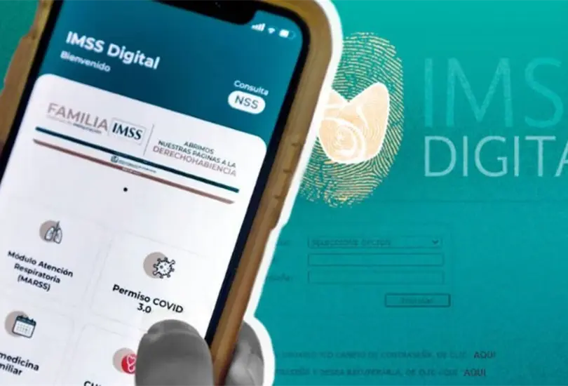 Te decimos paso a paso cómo revisar tus semanas cotizadas en el IMSS y verificar que tu patrón te registró correctamente.