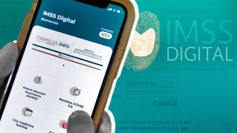 &iquest;Cu&aacute;ntas semanas cotizadas tienes en el IMSS? As&iacute; puedes consultar tu historial laboral