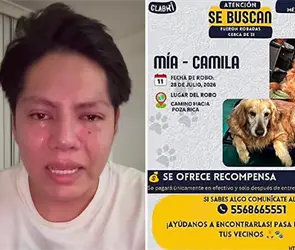 Son lo único que tengo: Joven suplica que le devuelvan a sus perritas tras sufrir asalto en la carretera Son lo único que tengo: Joven suplica que le devuelvan a sus perritas tras sufrir asalto en la carretera