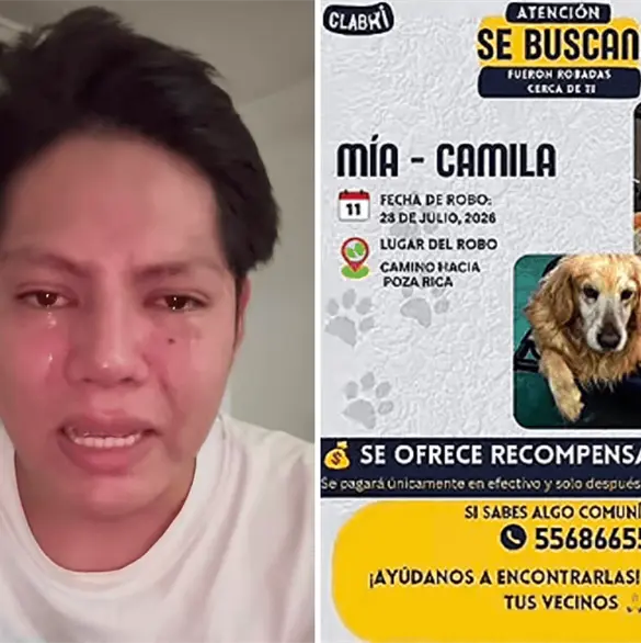 Son lo único que tengo: Joven suplica que le devuelvan a sus perritas tras sufrir asalto en la carretera