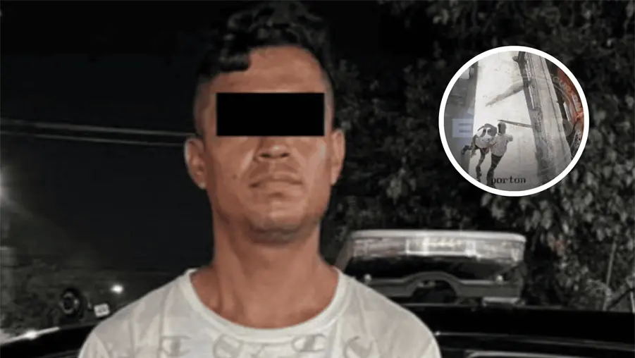 Identifican al sujeto que avent&oacute; a hombre que muri&oacute; arrollado por tr&aacute;iler en Monterrey