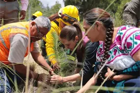 Arranca en Puebla la Jornada Nacional de Reforestaci&oacute;n 2026