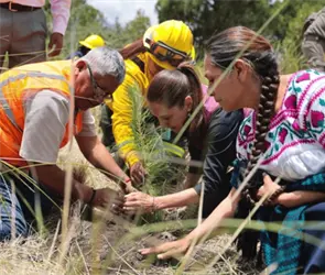 Arranca en Puebla la Jornada Nacional de Reforestaci&oacute;n 2026