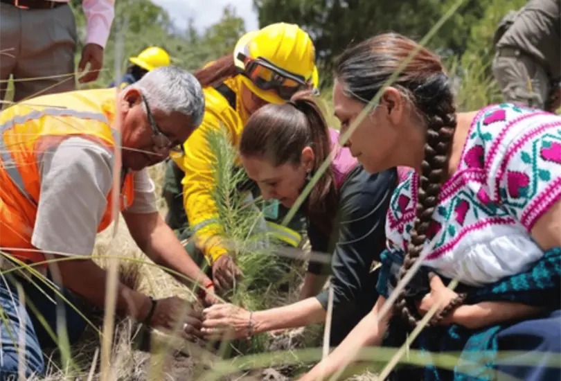 Durante la jornada, representantes de los gobiernos federal, estatal y municipal participaron en actividades de reforestación en el entorno del Parque Nacional Izta-Popo, uno de los espacios naturales más relevantes de la región. Durante la jornada, representantes de los gobiernos federal, estatal y municipal participaron en actividades de reforestación en el entorno del Parque Nacional Izta-Popo, uno de los espacios naturales más relevantes de la región.