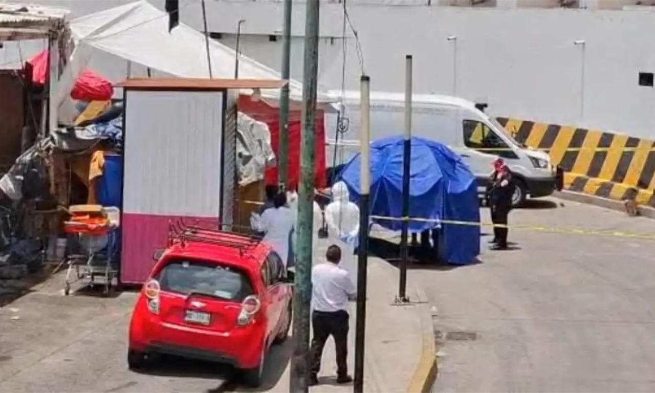  Ataque de pitbull en Indios Verdes: ¿qué pasó con el hombre que murió? 