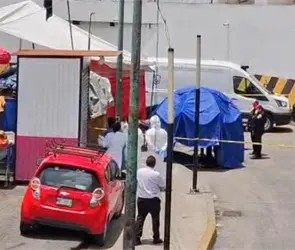 Ataque de pitbull en Indios Verdes: &iquest;qu&eacute; pas&oacute; con el hombre que muri&oacute;?