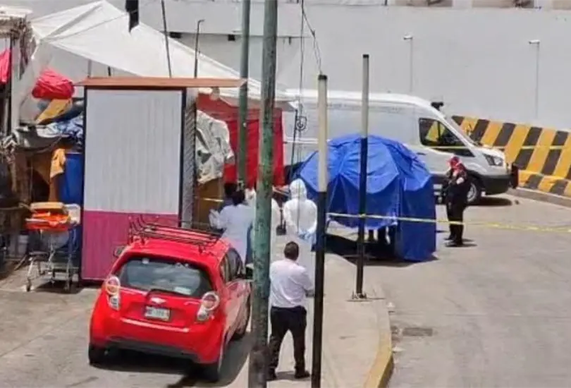 Ataque de pitbull en Indios Verdes: ¿qué pasó con el hombre que murió? Ataque de pitbull en Indios Verdes: ¿qué pasó con el hombre que murió?