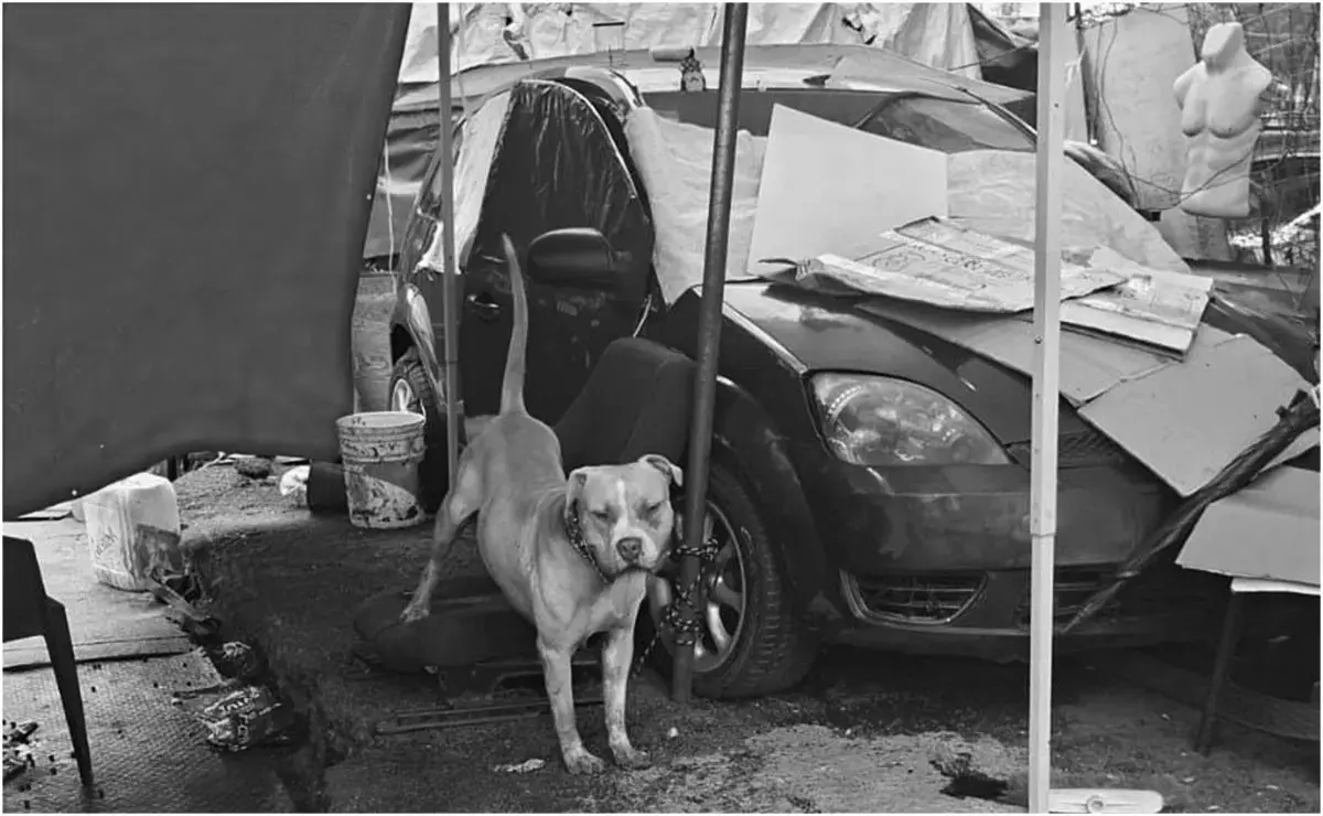 El perro permaneció controlado para evitar otro riesgo. X