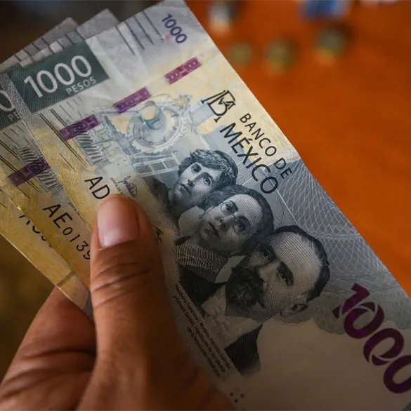 Pensión IMSS e ISSSTE: ¿Cuándo hacen el depósito de septiembre 2026? Pensión IMSS e ISSSTE: ¿Cuándo hacen el depósito de septiembre 2026?