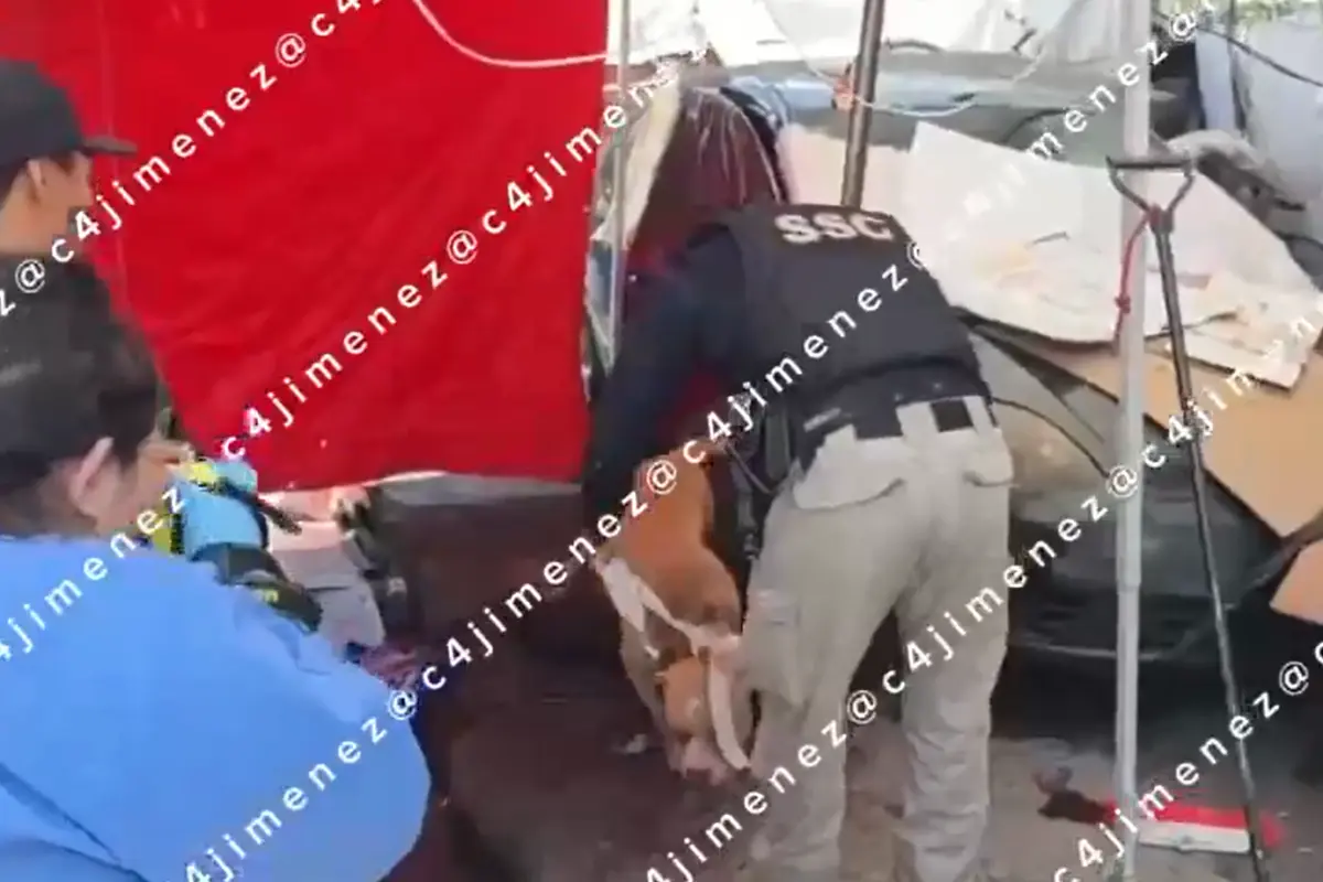  Fernando trabajaba como payaso y murió tras ataque de pitbull en Indios Verdes 