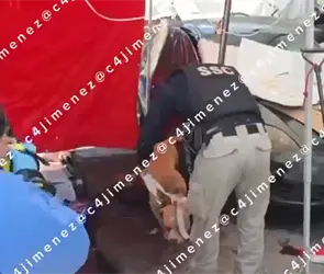 Fernando muri&oacute; tras ataque de pitbull en Indios Verdes; trabajaba como payaso y era el sustento de su familia