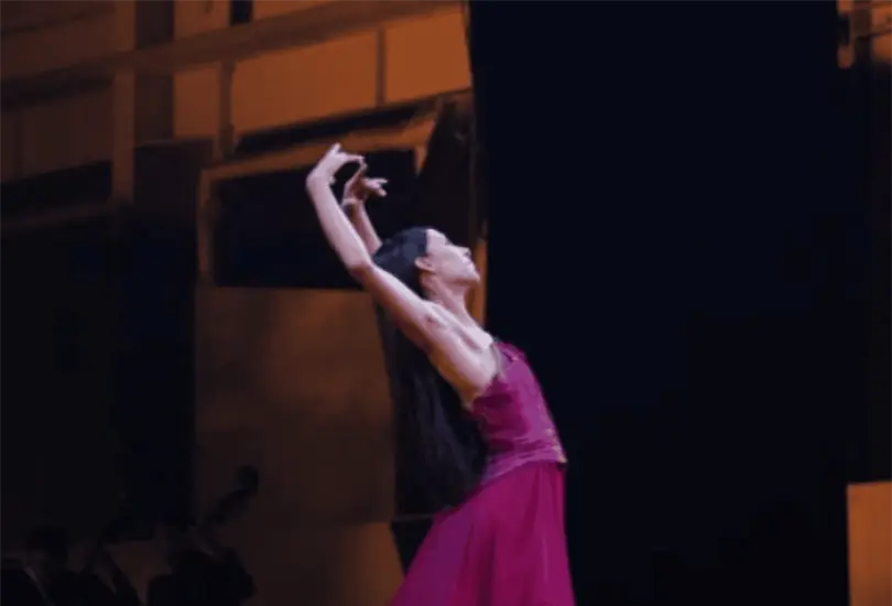 Uno de los principales atractivos de la gala fue la participación de seis bailarines de élite procedentes de Japón, Rusia, Estados Unidos y España. Uno de los principales atractivos de la gala fue la participación de seis bailarines de élite procedentes de Japón, Rusia, Estados Unidos y España.