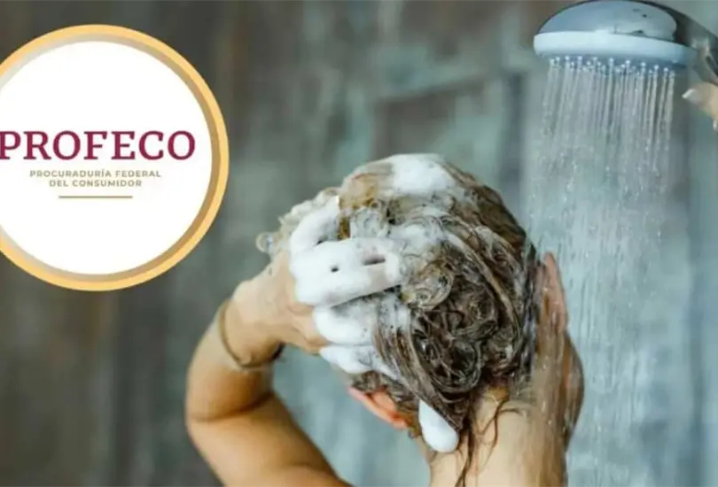 Si quieres cuidar tu cabello teñido, te decimos cuál es el mejor shampoo según Profeco. Si quieres cuidar tu cabello teñido, te decimos cuál es el mejor shampoo según Profeco.