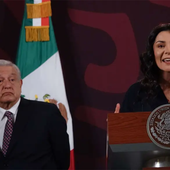 "Est&aacute;s gorda y mal vestida": Exhiben pol&eacute;micos tuits discriminatorios de Liz Vilchis, excolaboradora de AMLO