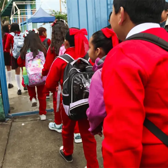 &iquest;Se prohibir&aacute;n los celulares en la primaria y secundaria? SEP har&aacute; consulta para decidir su uso en 2026-2027