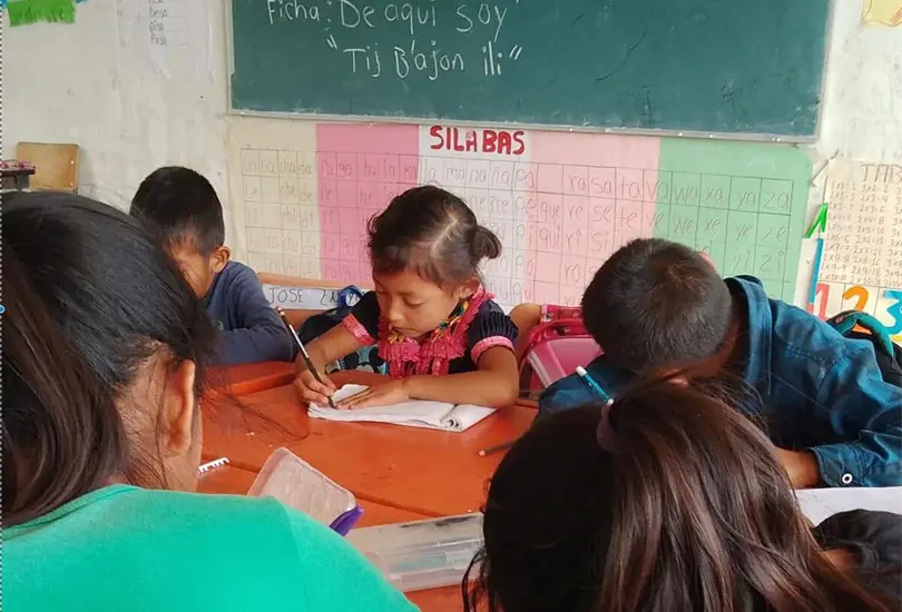 Nenemi Paxia desarroll&oacute; un agente de IA para apoyar el aprendizaje en comunidades ind&iacute;genas de Chiapas.