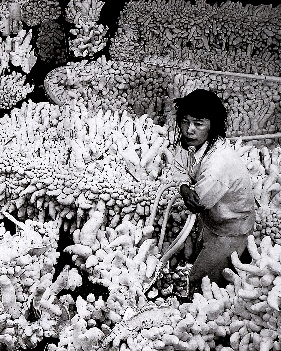 La artista tuvo una extraordinaria trayectoria. RR.SS.