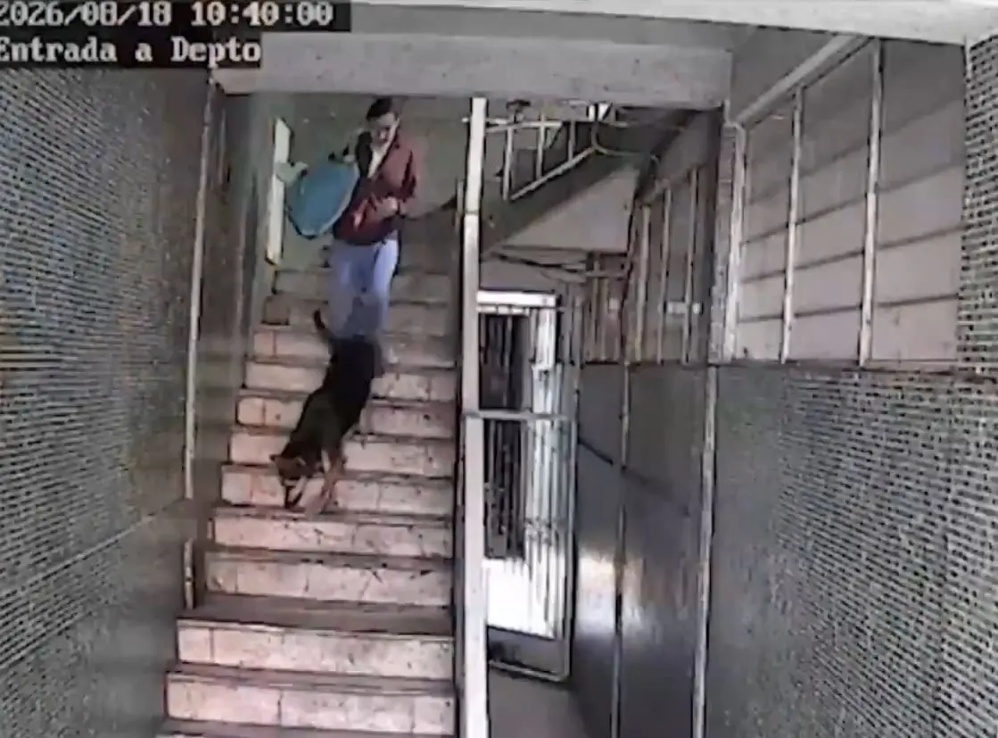 En la grabación se observa a Elizabeth vestida con una chamarra color vino bajando las escaleras junto con su perrita sujeta a una correa. Captura de pantalla.