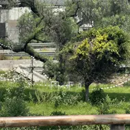A un a&ntilde;o de la tragedia, as&iacute; luce el Puente de la Concordia en Iztapalapa