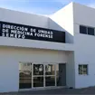 Crisis forense en Sinaloa: trasladar&aacute;n 850 cuerpos sin identificar; Fiscal&iacute;a busca darles nombre