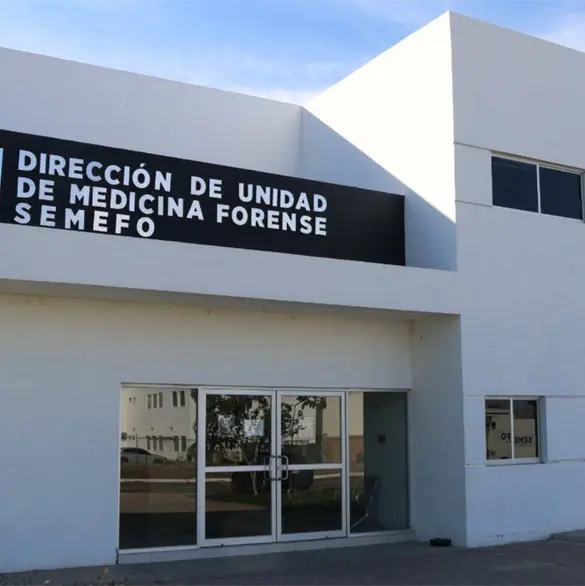 Crisis forense en Sinaloa: trasladarán 850 cuerpos sin identificar; Fiscalía busca darles nombre Crisis forense en Sinaloa: trasladarán 850 cuerpos sin identificar; Fiscalía busca darles nombre