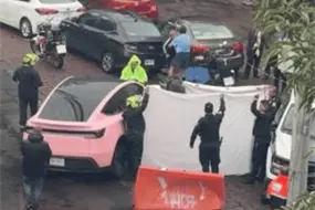 &iquest;Cu&aacute;nto cuesta el Tesla rosa con el que fue atropellado un hombre en Perif&eacute;rico Sur?