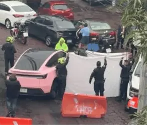 &iquest;Cu&aacute;nto cuesta el Tesla rosa con el que fue atropellado un hombre en Perif&eacute;rico Sur?