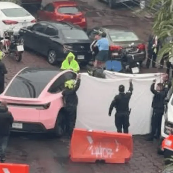 &iquest;Cu&aacute;nto cuesta el Tesla rosa con el que fue atropellado un hombre en Perif&eacute;rico Sur?