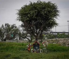 "Lo extra&ntilde;o mucho": Janet vuelve al Puente de la Concordia para cumplir la promesa que hizo a su maestro