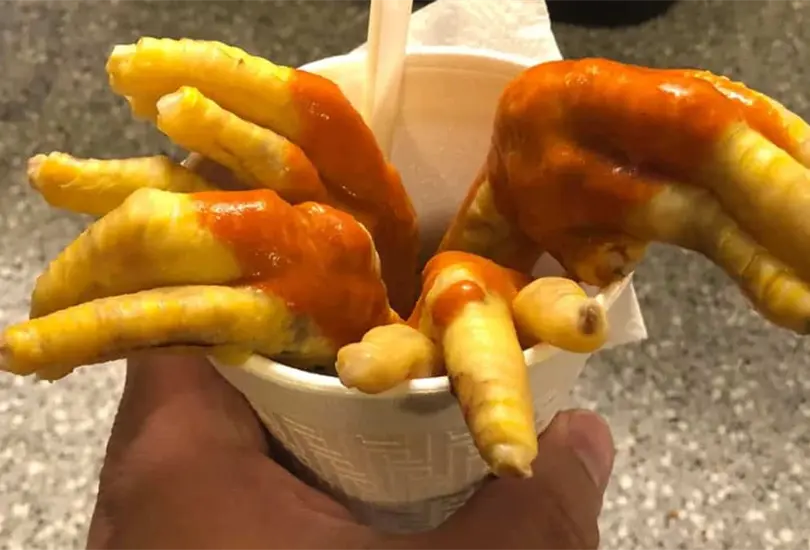 La gastronomía mexicana es conocida en todo el mundo por sus sabores, ingredientes y gran variedad de platillos. Sin embargo, algunos alimentos que forman parte de la cocina tradicional pueden resultar poco comunes para quienes visitan México por primera vez. Desde diferentes partes del pollo hasta insectos comestibles, estos son algunos platillos que pueden sorprender a los extranjeros. La gastronomía mexicana es conocida en todo el mundo por sus sabores, ingredientes y gran variedad de platillos. Sin embargo, algunos alimentos que forman parte de la cocina tradicional pueden resultar poco comunes para quienes visitan México por primera vez. Desde diferentes partes del pollo hasta insectos comestibles, estos son algunos platillos que pueden sorprender a los extranjeros.