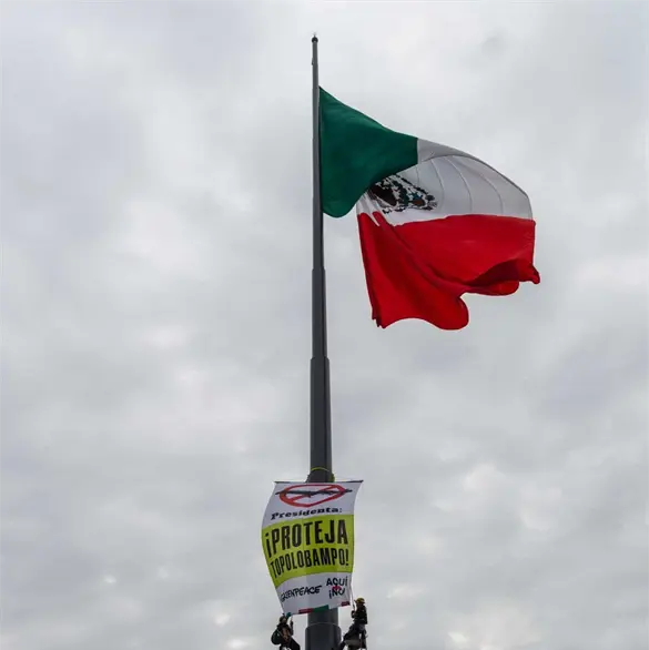 Grito de Independencia 2026 en el Zócalo en vivo: minuto a minuto y últimas noticias Grito de Independencia 2026 en el Zócalo en vivo: minuto a minuto y últimas noticias