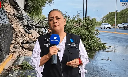 Revelan estado de salud de la reportera y el camarógrafo que fueron atropellados durante enlace en vivo en Monterrey Revelan estado de salud de la reportera y el camarógrafo que fueron atropellados durante enlace en vivo en Monterrey